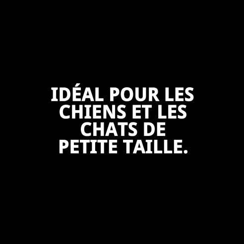 Collier Moly Lilas T-2 25-35 cm - Style et Confort pour Animaux de Compagnie