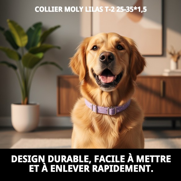 Collier Moly Lilas T-2 25-35 cm - Style et Confort pour Animaux de Compagnie
