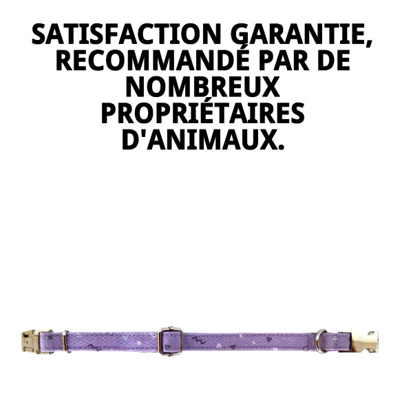 Collier Moly Lilas T-2 25-35 cm - Style et Confort pour Animaux de Compagnie