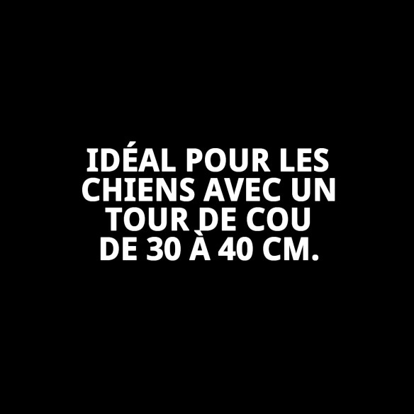 Collier Moly Lila T-3 30-40 cm pour votre animal de compagnie élégant.