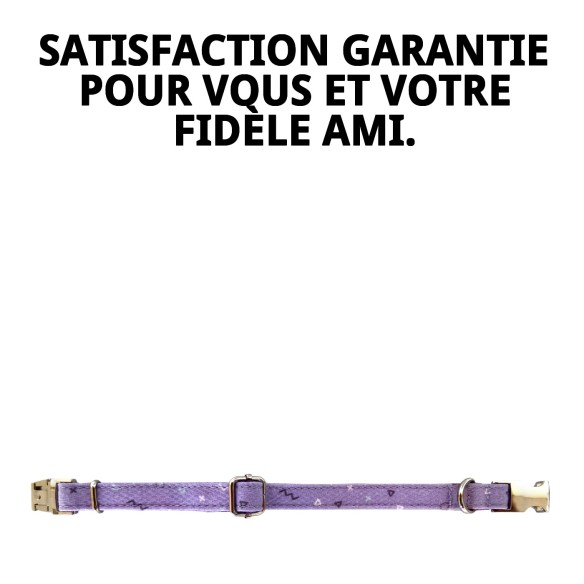 Collier Moly Lila T-3 30-40 cm pour votre animal de compagnie élégant.