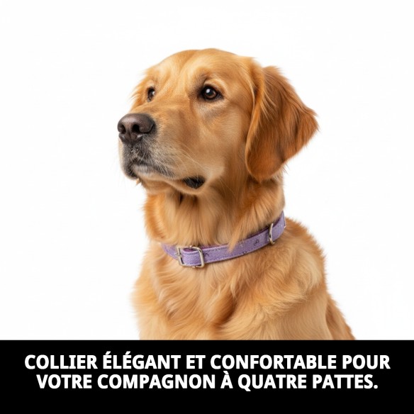 Collier Moly Lila T-4 pour Animaux de Compagnie - Style et Confort