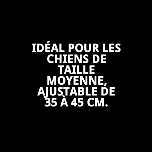 Collier Moly Lila T-4 pour Animaux de Compagnie - Style et Confort