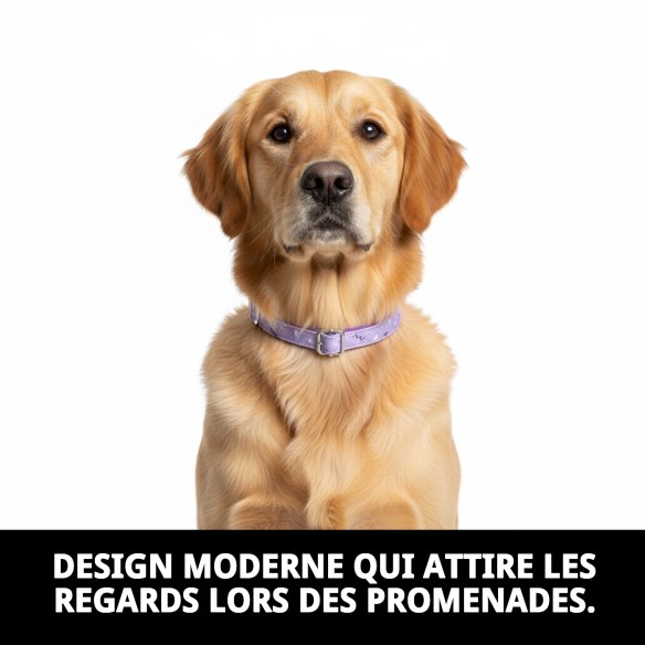 Collier Moly Lila T-4 pour Animaux de Compagnie - Style et Confort