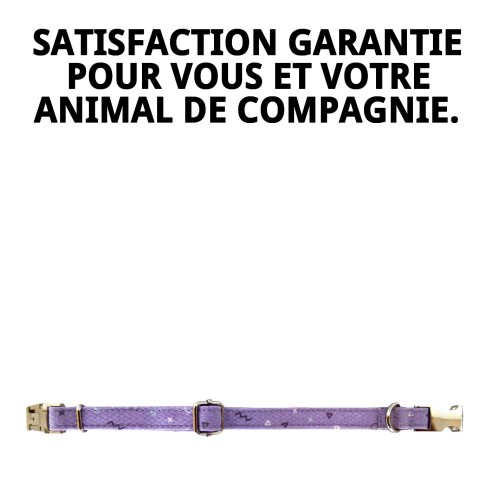 Collier Moly Lila T-4 pour Animaux de Compagnie - Style et Confort