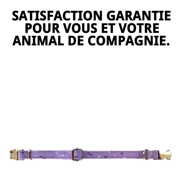 Collier Moly Lila T-4 pour Animaux de Compagnie - Style et Confort