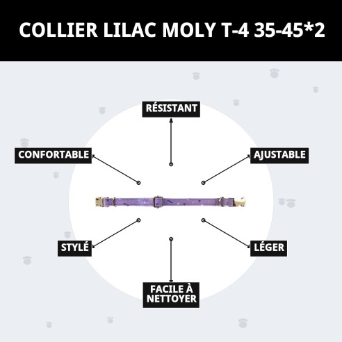 Collier Moly Lila T-4 pour Animaux de Compagnie - Style et Confort