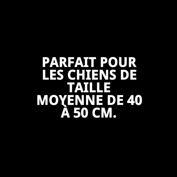 Collier Moly Lila T-5 : Style et Confort pour votre Animal de Compagnie