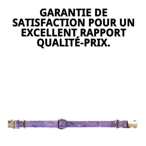 Collier Moly Lila T-5 : Style et Confort pour votre Animal de Compagnie