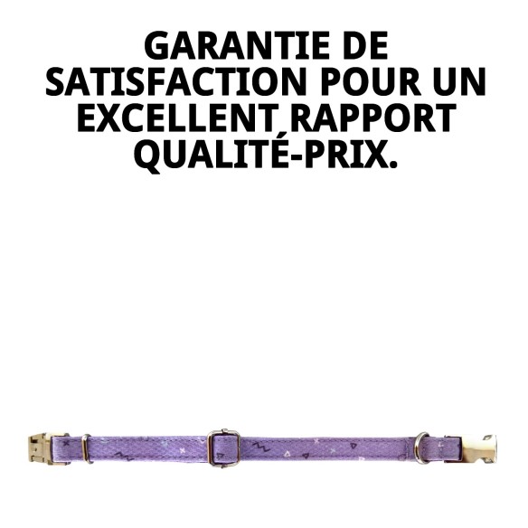 Collier Moly Lila T-5 : Style et Confort pour votre Animal de Compagnie