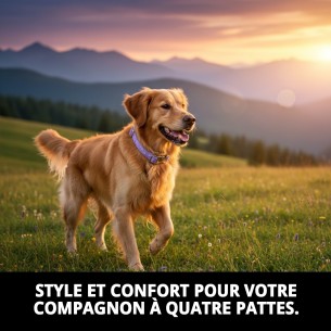 Collier Moly Lilas T-6 pour Animaux de Compagnie - Style et Confort 2