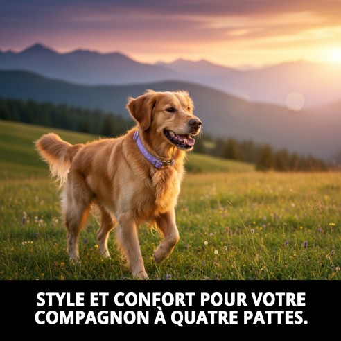 Collier Moly Lilas T-6 pour Animaux de Compagnie - Style et Confort