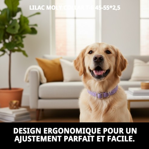 Collier Moly Lilas T-6 pour Animaux de Compagnie - Style et Confort