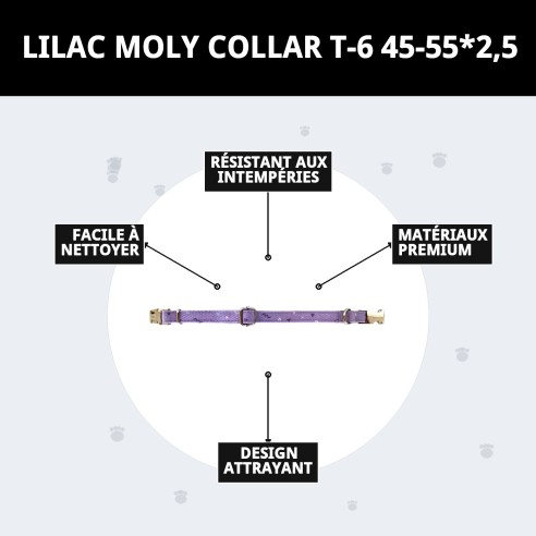 Collier Moly Lilas T-6 pour Animaux de Compagnie - Style et Confort