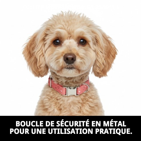 Collier Moly Saumon T-1 pour chiens 20-30 cm | Style et Sécurité