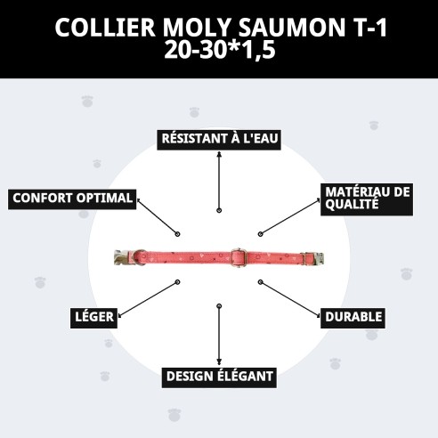 Collier Moly Saumon T-1 pour chiens 20-30 cm | Style et Sécurité