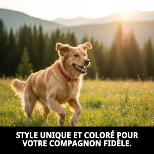 Collier Casitas Rouges T-2 : Style et Confort pour votre Animal de Compagnie 2