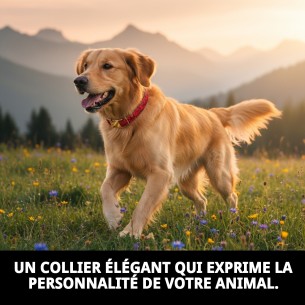 Collier Casitas Rouges T-3 pour Chiens 30-40cm - Confortable et Chic 2