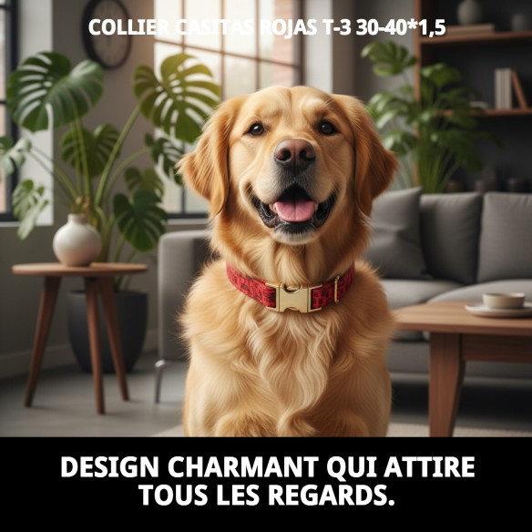 Collier Casitas Rouges T-3 pour Chiens 30-40cm - Confortable et Chic
