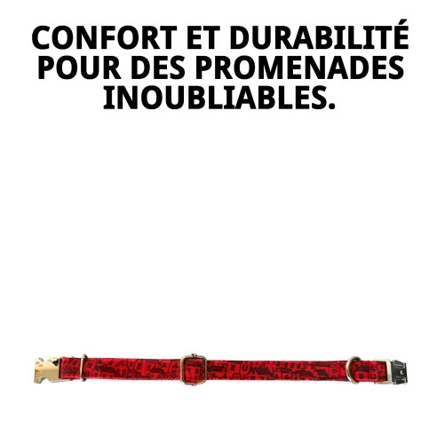 Collier Casitas Rojas T-4 pour Animaux de Compagnie 35-45 cm - Style Unique