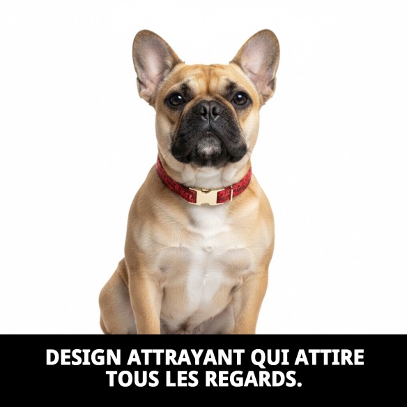 Collier Casitas Rojas T-4 pour Animaux de Compagnie 35-45 cm - Style Unique