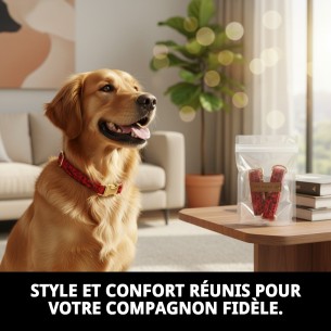 Collier Casitas Rouges T-5 pour Animaux de Compagnie - Confort et Style 2