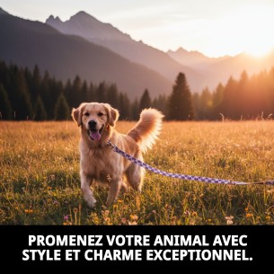 Ramal Coeurs T-1 120*1,5 : Style et Confort pour votre Animal de Compagnie 2