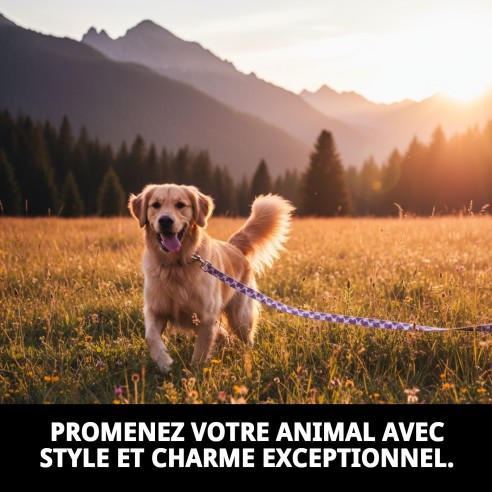 Ramal Coeurs T-1 120*1,5 : Style et Confort pour votre Animal de Compagnie