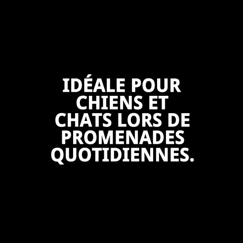 Ramal Coeurs T-1 120*1,5 : Style et Confort pour votre Animal de Compagnie