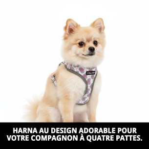 Petral Cœurs T-1 : Style et Confort pour votre Animal de Compagnie 2