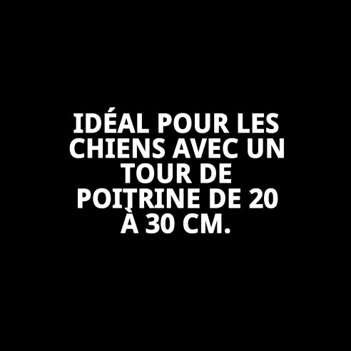 Petral Cœurs T-1 : Style et Confort pour votre Animal de Compagnie