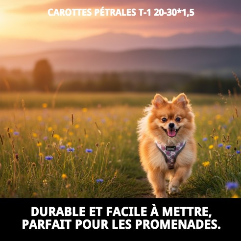 Petral Cœurs T-1 : Style et Confort pour votre Animal de Compagnie