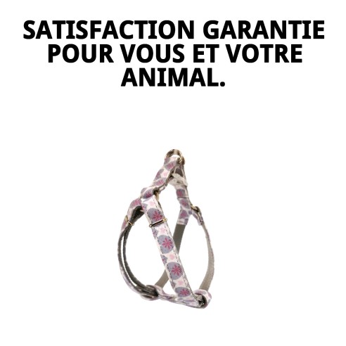 Petral Cœurs T-1 : Style et Confort pour votre Animal de Compagnie