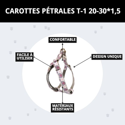 Petral Cœurs T-1 : Style et Confort pour votre Animal de Compagnie