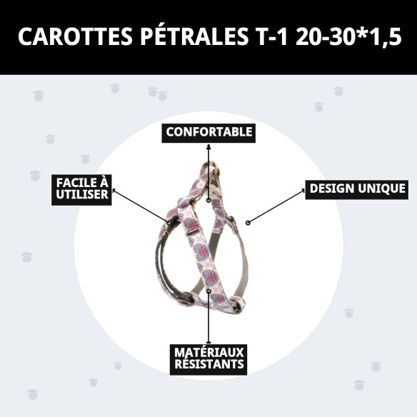 Petral Cœurs T-1 : Style et Confort pour votre Animal de Compagnie