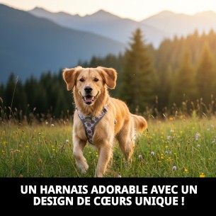 Collier Petral Coeurs T-3 pour Animaux de Compagnie 30-40 cm - Style et Confort 2