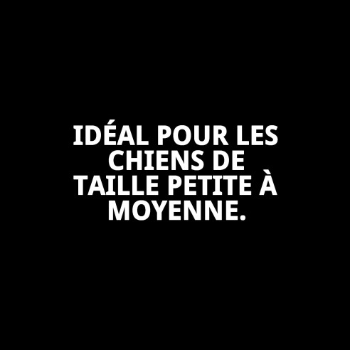 Collier Petral Coeurs T-3 pour Animaux de Compagnie 30-40 cm - Style et Confort