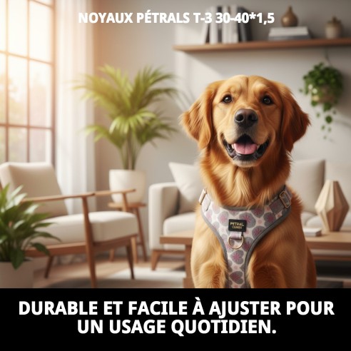 Collier Petral Coeurs T-3 pour Animaux de Compagnie 30-40 cm - Style et Confort