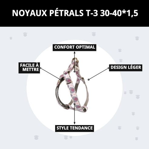 Collier Petral Coeurs T-3 pour Animaux de Compagnie 30-40 cm - Style et Confort