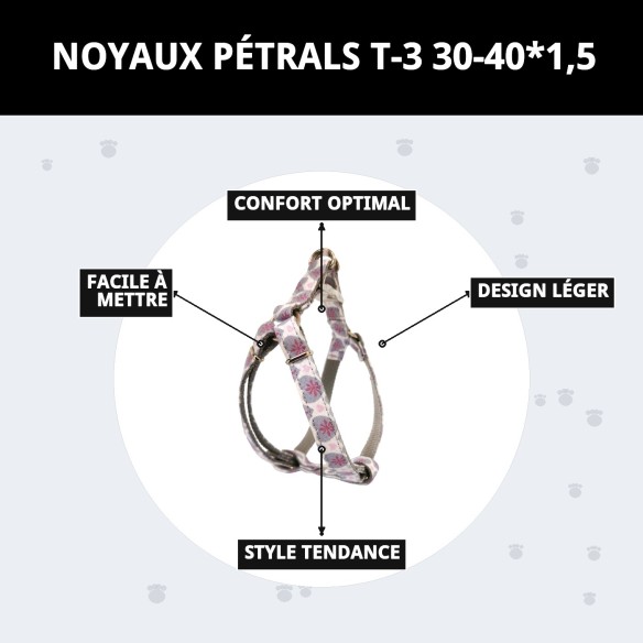 Collier Petral Coeurs T-3 pour Animaux de Compagnie 30-40 cm - Style et Confort