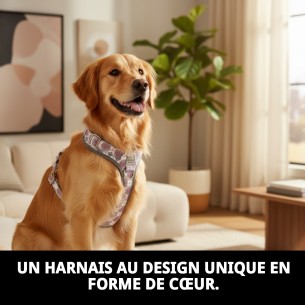 Petral Cœurs T-5 pour Animaux de Compagnie 40-50 cm - Style et Confort 2