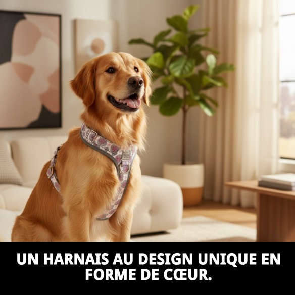 Petral Cœurs T-5 pour Animaux de Compagnie 40-50 cm - Style et Confort