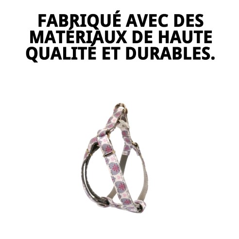 Petral Cœurs T-5 pour Animaux de Compagnie 40-50 cm - Style et Confort