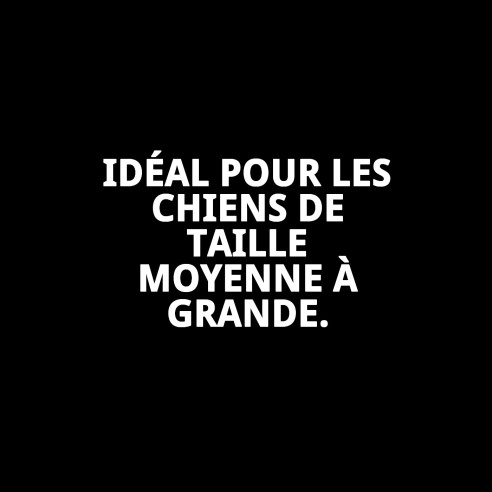 Petral Cœurs T-5 pour Animaux de Compagnie 40-50 cm - Style et Confort