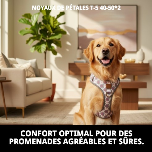 Petral Cœurs T-5 pour Animaux de Compagnie 40-50 cm - Style et Confort
