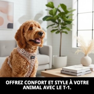 Collier PETRAL TOPITOS T-1 20-30*1,5 pour votre animal de compagnie. 2