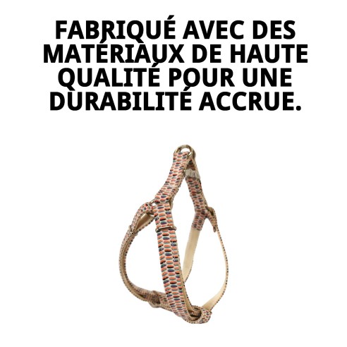 Collier PETRAL TOPITOS T-1 20-30*1,5 pour votre animal de compagnie.