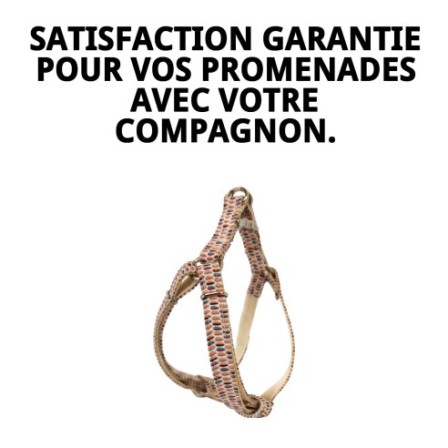 Collier PETRAL TOPITOS T-1 20-30*1,5 pour votre animal de compagnie.