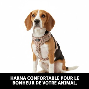 Petral Topitos T-5 pour Animaux de Compagnie 40-50*2 - Confort et Style 2