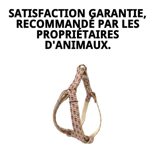 Petral Topitos T-5 pour Animaux de Compagnie 40-50*2 - Confort et Style